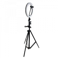 Кольцевая светодиодная лампа со штативом Ring Fill Light ZD666 26 см Кольцевая светодиодная лампа со штативом Ring Fill Light ZD666 26 см